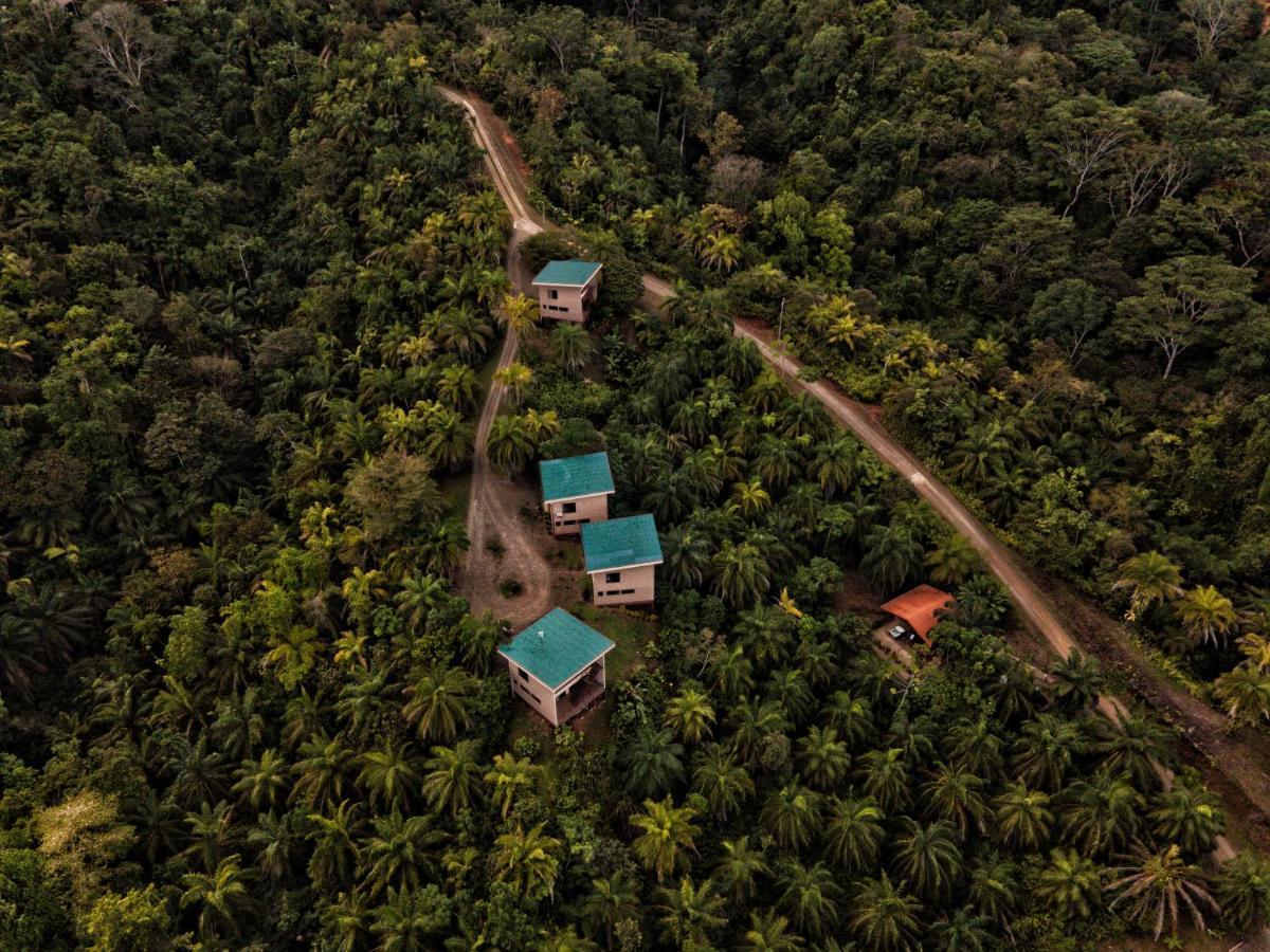 Corcovado Private Villas - Corcovado Private Reserve Puerto Jiménez Екстериор снимка