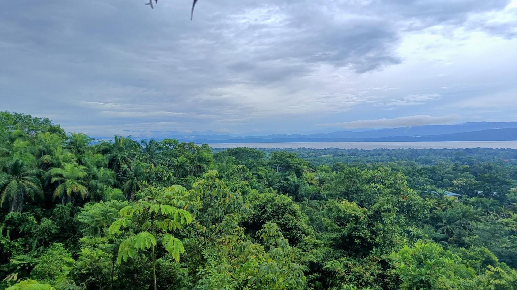 Corcovado Private Villas - Corcovado Private Reserve Puerto Jiménez Екстериор снимка