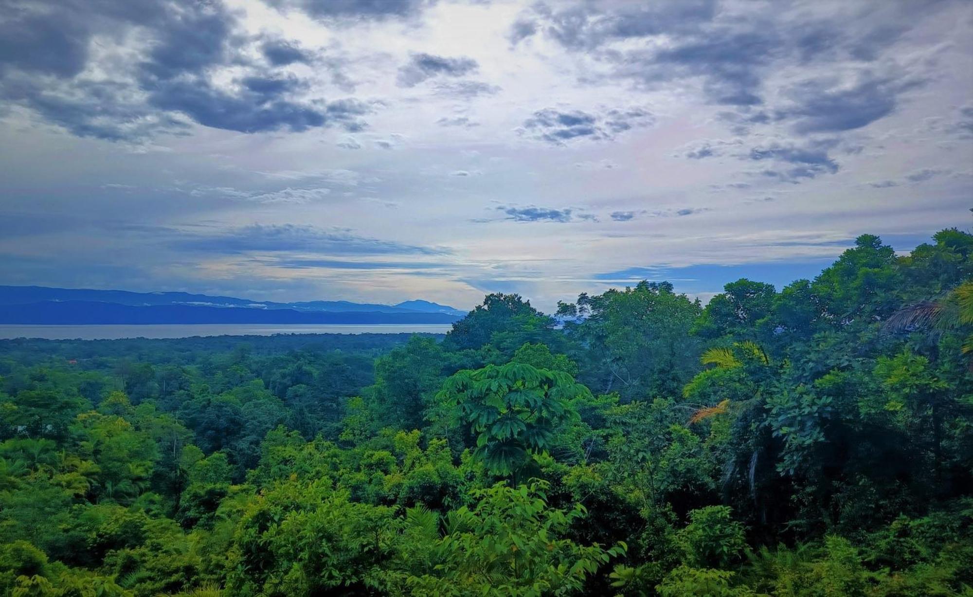 Corcovado Private Villas - Corcovado Private Reserve Puerto Jiménez Екстериор снимка