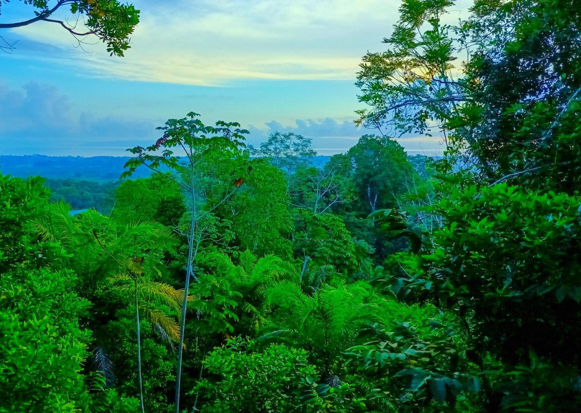 Corcovado Private Villas - Corcovado Private Reserve Puerto Jiménez Екстериор снимка