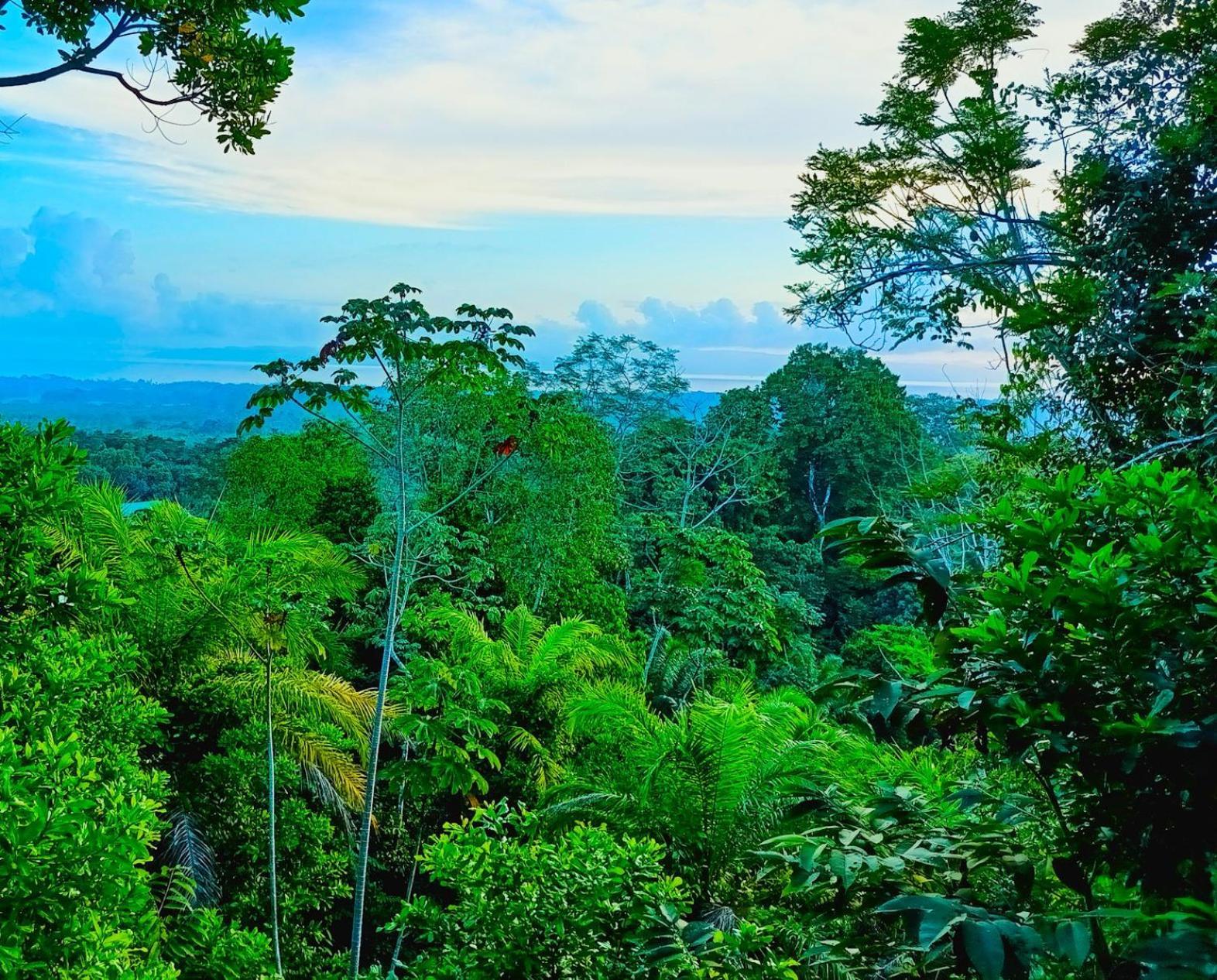 Corcovado Private Villas - Corcovado Private Reserve Puerto Jiménez Екстериор снимка