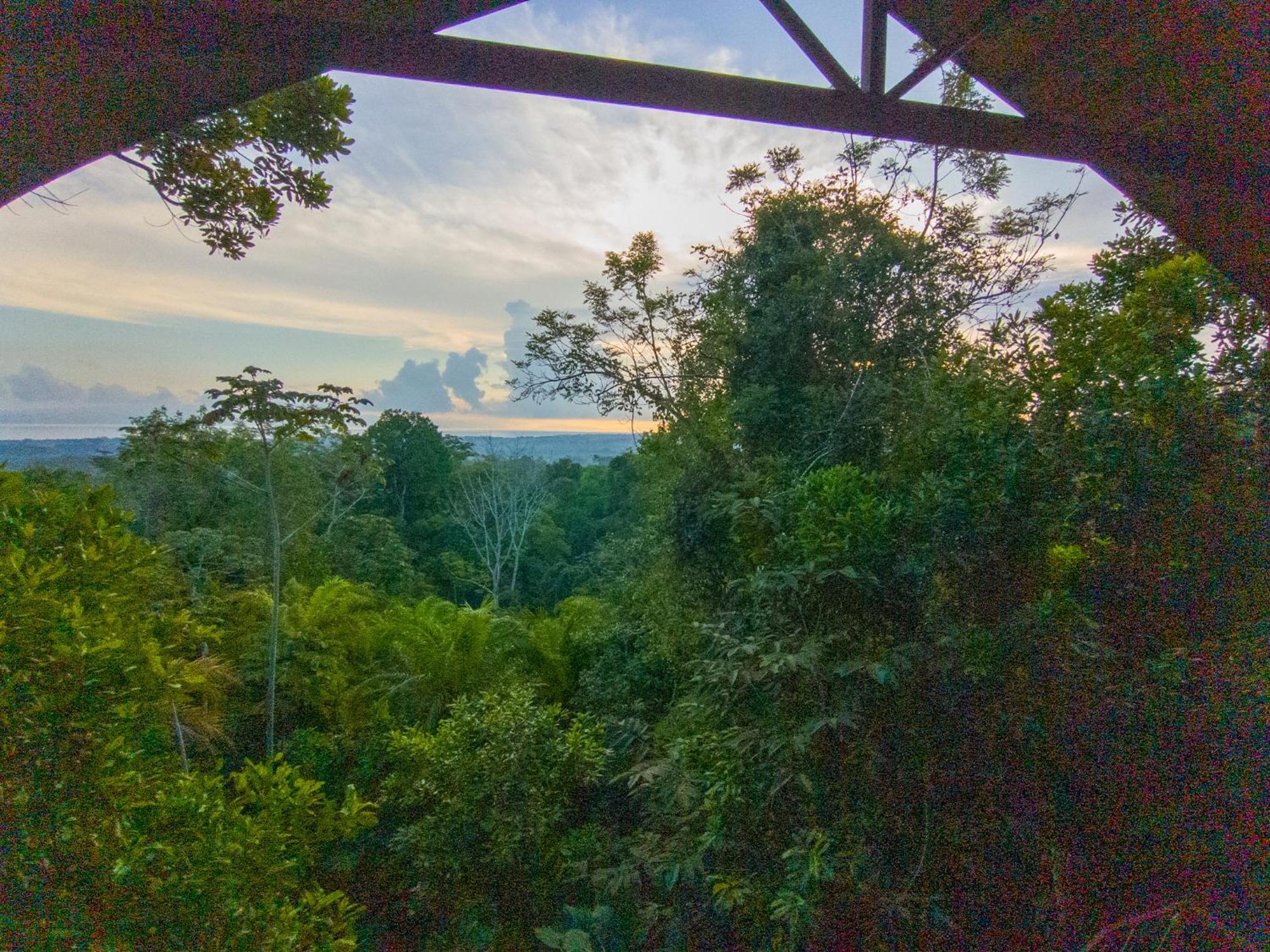 Corcovado Private Villas - Corcovado Private Reserve Puerto Jiménez Екстериор снимка